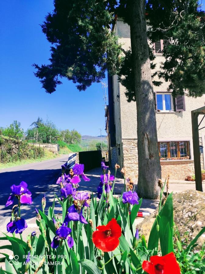 Rohouse -Experience- Villa Arezzo Exterior photo