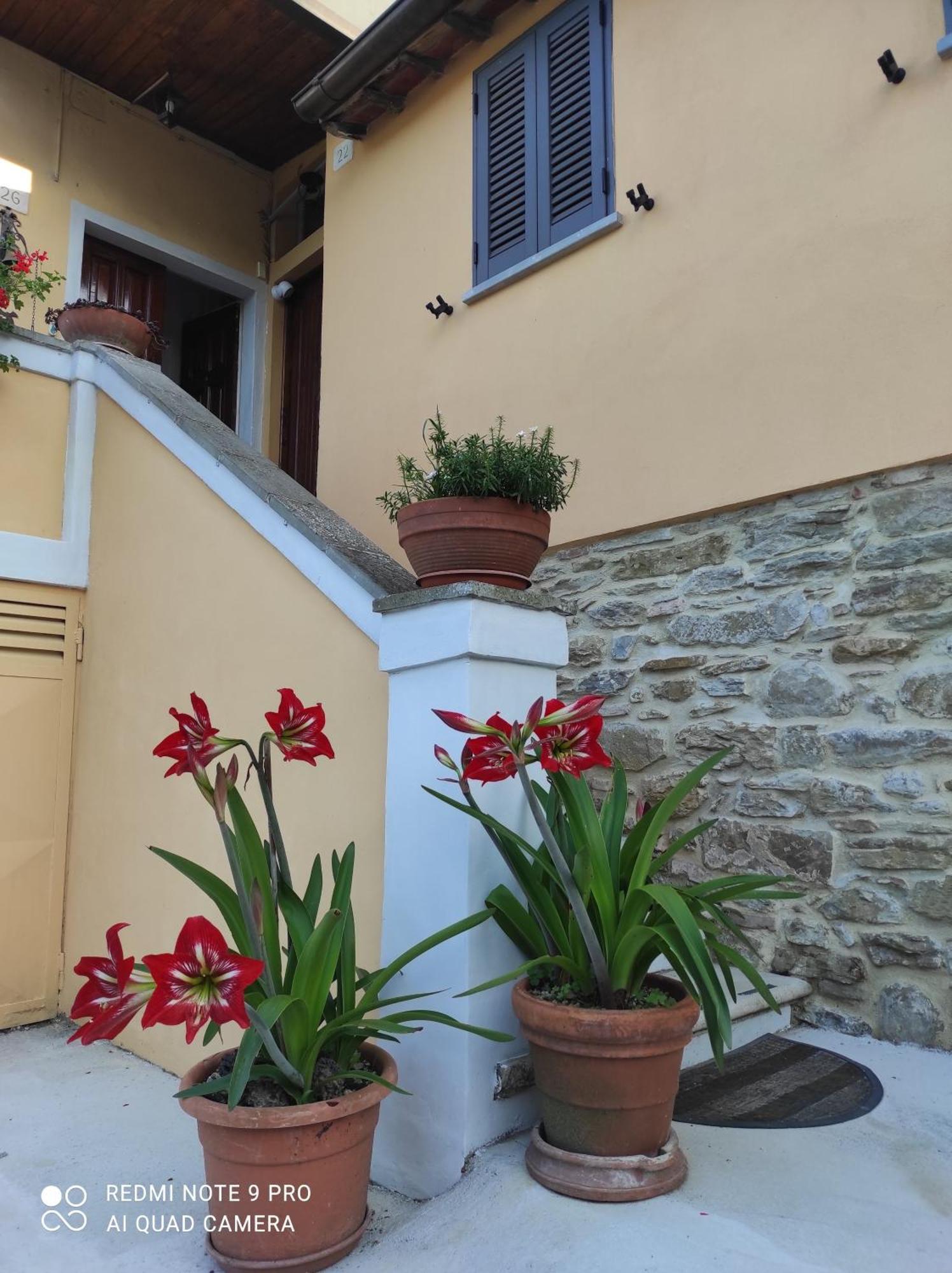 Rohouse -Experience- Villa Arezzo Exterior photo